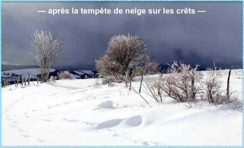 Neige sur le crêt