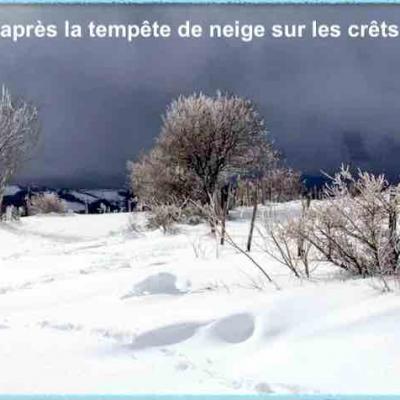 Neige sur le crêt