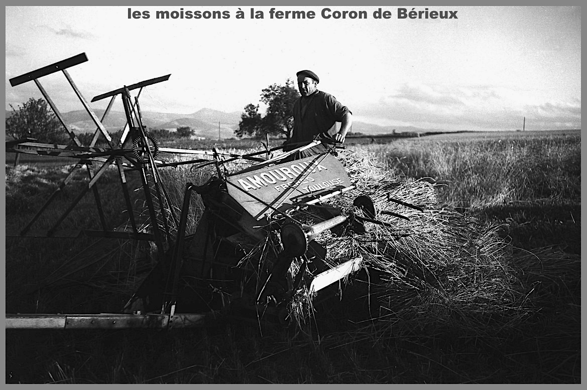 Moisson coron 3