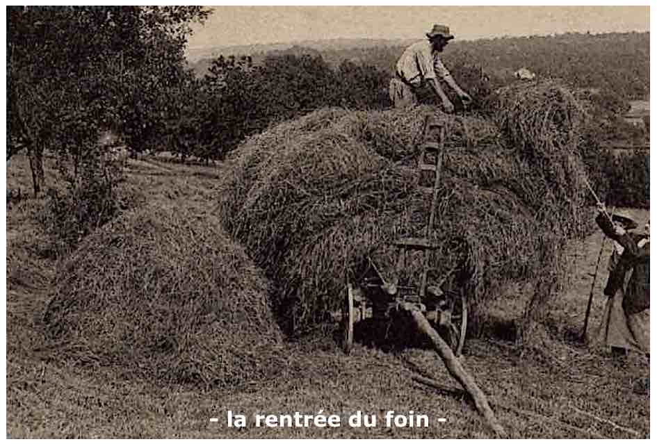 Rentre e de foins